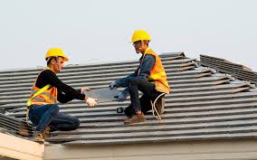 Steel Roofing in Beacon Hill, WA